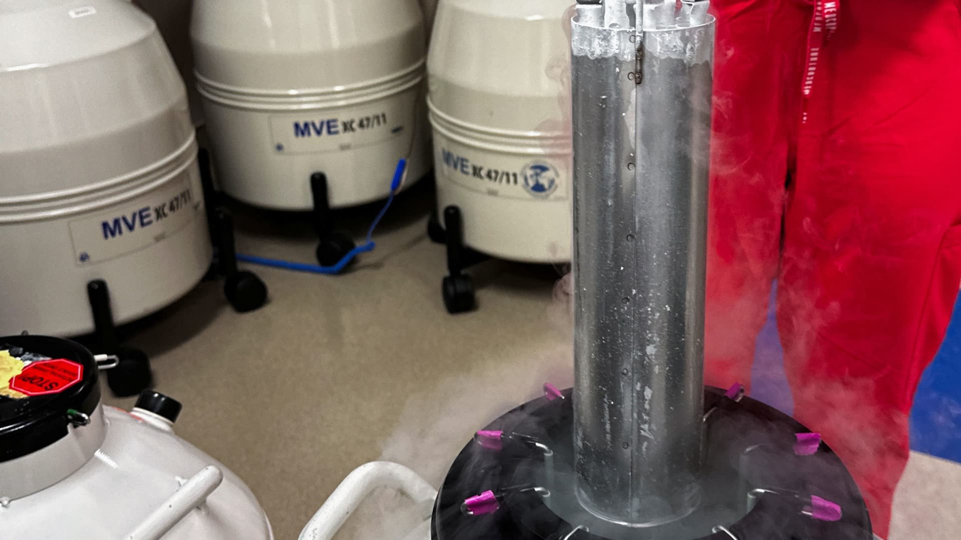 A look at why many women undergo egg freezing, and the costs associated with it